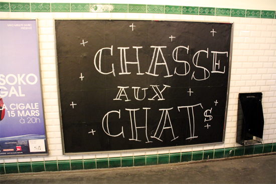 Chasse aux chats