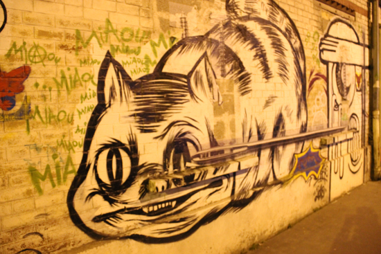 Chasse aux chats