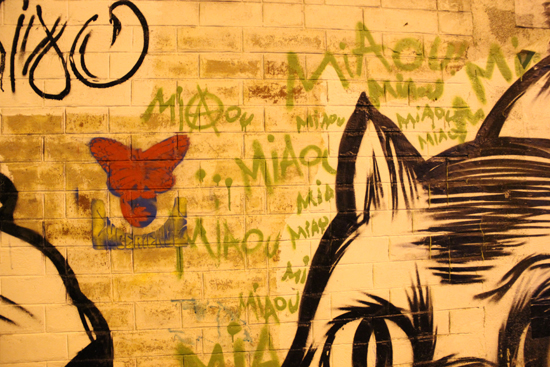 Chasse aux chats